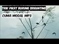 Download Lagu cari burung srigunting menggunakan mp3