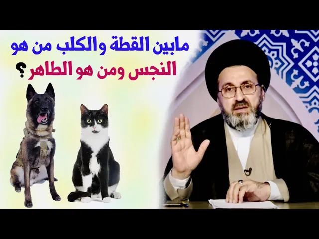 ⁣متصلان: مابين القطة والكلب من هو النجس ومن هو الطاهر ؟ | السيد رشيد الحسيني