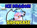 Ice Dragon Showcase Anime Defenders