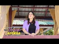 Download Lagu Lagu Nias Terbaru//NO IFELUNGU AFÖKHA//Cipt.Matius PN Halawa. Voc.Monalisa Zalukhu