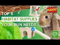 Top 5 Most Important Habitat Supplies for Your Rabbit