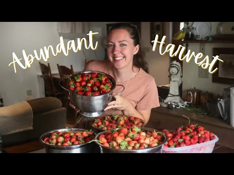 Download MP3 Preserving An Abundant HARVEST! Canning in the Homestead Kitchen