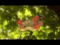 gabrielle hope - me and you