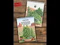 Free Cactus Succulent Coloring Page 55 Drawings Free Download Pluto Designs Studio