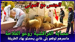 عصابة الفراقشية مافعلوه يندى له الجبين كيفاش فكو الدرك هاد اللغز المحير تحريات دركي قصص بوليسية لغز 