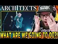 Download Lagu Reaction to Architects - When We Were Young / REVIEW