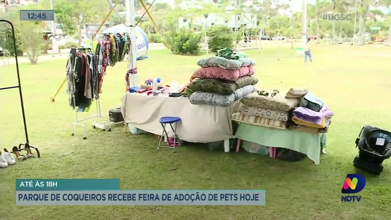 Feira de adoção de pets é realizada no Parque de Coqueiros