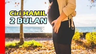 Download 5 Ciri ciri Usia Kehamilan Dua Bulan MP3