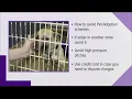 Jacksonville pet owner falls victim to internet pet adoption scam