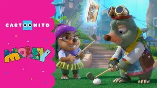 مولي لعب الجولف فقرة كارتونيتو كرتون نتورك 