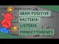 Download Lagu Gram Positive Bacteria: Listeria monocytogenes