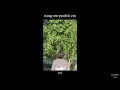Download Lagu sum - nang om peuh le cin
