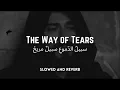Download Lagu THE WAY OF TEARS [ Slowed And Reverb ]