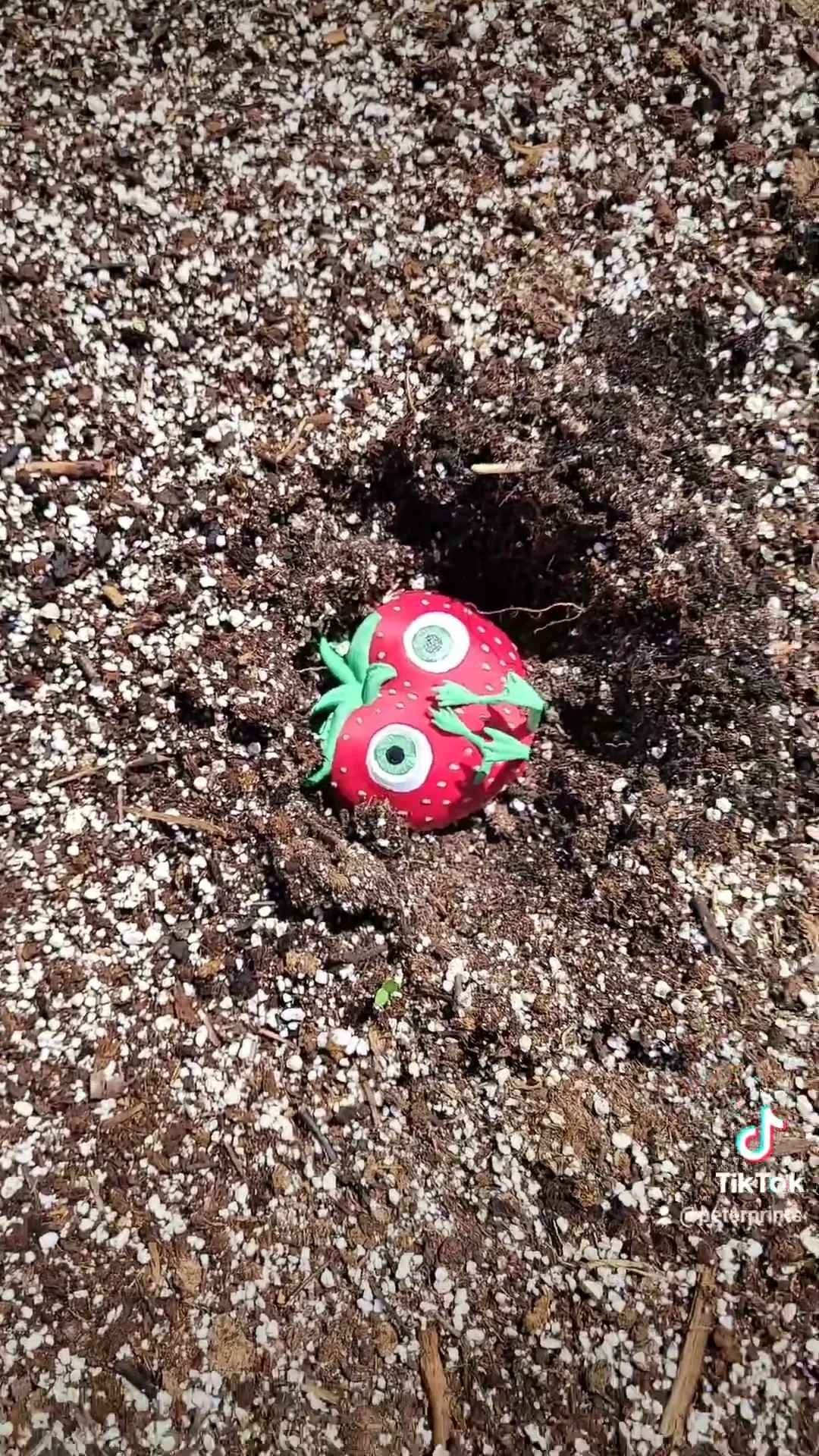Cute Lil' Strawberry Guy