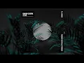 David Guetta & Sia - Flames (Robin Schulz Remix)