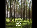 Enjoyable Smooth Relaxation Sounds