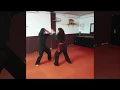 Download Lagu Pencak Silat Rotterdam