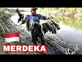 Download Lagu Ganasnya Bukan Main Mancing ikan di sungai liar dapat Nila Babon Terbanyak MERDEKA