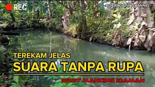 Download SUARA PANGGIL BURUNG MANDAR BATU PALING DICARI/Common moorhen bird sound call/ MP3