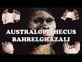 Australopithecus bahrelghazali The Mysterious Australopithecines
