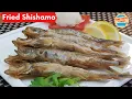 Download Lagu Crispy Deep-Fried Shishamo (Capelin) Fish in 8 Minutes