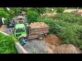 Download Lagu Wonderful Start new project landfill by team dump truck with skill dozer push soil clearing forest