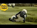 Lagu Lazy Day 🐑 Shaun the Sheep 🐑  - Cartoons for Kids 🐑 Full Episodes Compilation [1 hour]
