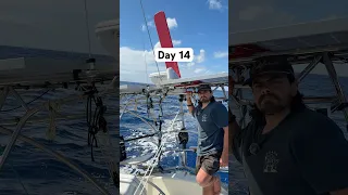 Day 14 how do I sleep and who steers the boat?