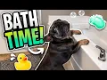 Bath