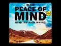 Download Lagu Peace of Mind Vol 49 | Road Trip | Slow Jam Mix | DJ Ace ♠️