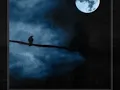 Earl Scruggs - Rock, Salt and Nails
