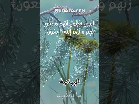 أعظم معنى للقاء الله في الصلاة.. لن تصلي بنفس الشعور بعد اليوم!