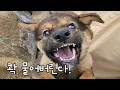 Download Lagu Seokgu and His Sister Seokhee
