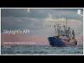 Skylight s API overview