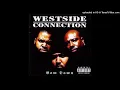 05. Westside Connection - Do You Like Criminals