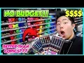 NO BUDGET AT MICHAELS ART STORE SHOPPING SPREE Starving Artist Clears the Store