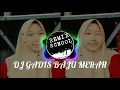 Download Lagu DJ ADU MAMAE LIRIK GADIS BAJU MERAH X IMUT IMUT VIRAL TIKTOK TERBARU 2K20