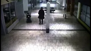 January 2017 Double Homicide at Westfield Wheaton Mall - of Suspect