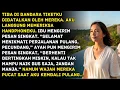 Lagu Tiketku Dibatalkan Ibuku Saat di Bandara, Aku Dihina Pecundang... Tapi Lihat Saat Aku Balas Dendam!