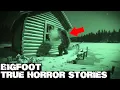 Download Lagu 3 Hours of Truly Scary Bigfoot Encounters | BIGFOOT Documentary 2025 | Vol. 410 | #bigfoot 2025