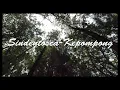 Kepompong - Sidentosca ( Video Cover) Smkn2 Tangsel