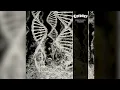 Download Lagu Coroner – Dissonance Theory (2025) | The Return of Swiss Technical Thrash Legends [Full Album]