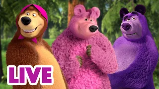 🔴 ПРЯМОЙ ЭФИР! LIVE Маша и Медведь 👱‍♀️🐻 Какой Мишка настоящий? 🐻🐻‍❄️🐼