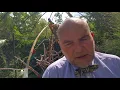 Note on Seven Days to Noon directed by John and Roy Boulting with Barry Jones