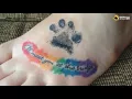 Best Paw prints Tattoo Design Idea