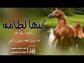 شيلة كنها لطامة، 2023|كلمات بروق الغلا |اداء صوت الفخامه متعب الخيل)