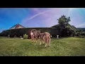 daydreamers - Hanging Round (Visualiser)