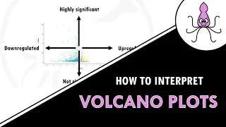 Volcano plots explained How to interpret a volcano plot for DGE