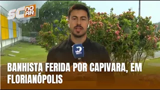 Banhista é ferida por capivara e recebe atendimento médico, em Florianópolis