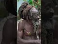 Download Lagu Jamaican Rasta #rasta #jamaica #rastafari #lion #fire #jamaicaculture #wisdom